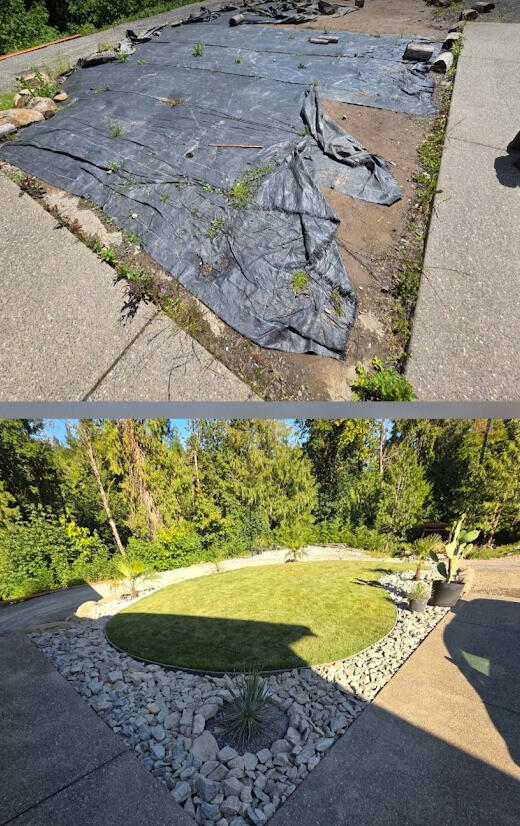 Before and After